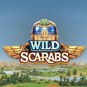 Wild Scarabs